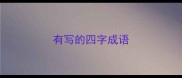 有写的四字成语