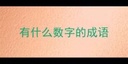 有什么数字的成语