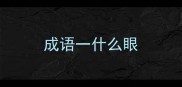 成语一什么眼