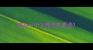 最后一个字是流的成语