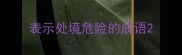 表示处境危险的成语