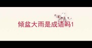 倾盆大雨是成语吗