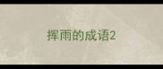 挥雨的成语