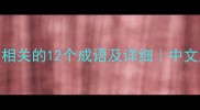 与糊相关的12个成语及详细中文成语词典