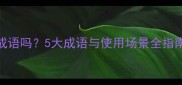 双手赞成是正确成语吗5大成语与使用场景全指南附收录技巧