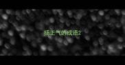 扬正气的成语