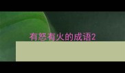 有怒有火的成语