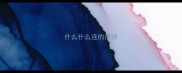 什么什么连的成语