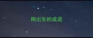 刚出生的成语