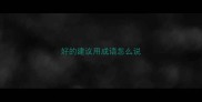 好的建议用成语怎么说