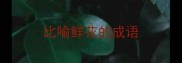 比喻鲜花的成语