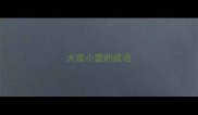 大流小蜚的成语