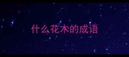 什么花木的成语