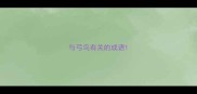 与弓鸟有关的成语