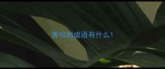 害怕的成语有什么