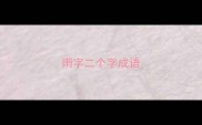 雨字二个字成语