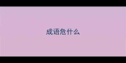 成语危什么