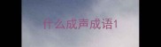 什么成声成语