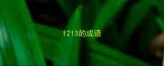 1213的成语