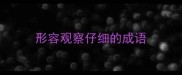 形容观察仔细的成语