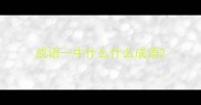成语一牛什么什么成语