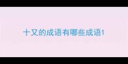 十又的成语有哪些成语