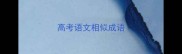 高考语文相似成语