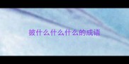 披什么什么什么的成语