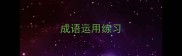 成语运用练习