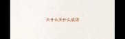 大什么天什么成语