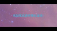 机结尾成语有哪些成语