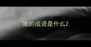独的成语是什么