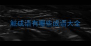 觥成语有哪些成语大全