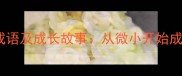 由小变大的成语及成长故事从微小开始成就非凡人生