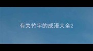 有关竹字的成语大全