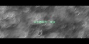 仙女撒花打一成语