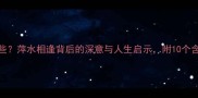 萍的成语有哪些萍水相逢背后的深意与人生启示附10个含萍成语及用法