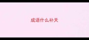 成语什么补天