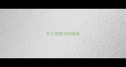 什么若悬河的成语