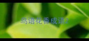 鸟语花香成语