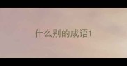 什么别的成语