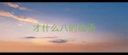 才什么八的成语