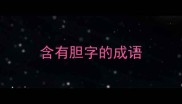 含有胆字的成语