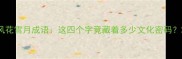 风花雪月成语这四个字竟藏着多少文化密码