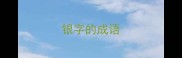 银字的成语