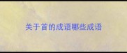 关于首的成语哪些成语