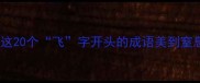 飞有哪些成语这20个飞字开头的成语美到窒息建议收藏
