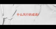什么风行的成语