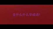 含什么什么华成语