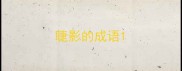 睫影的成语